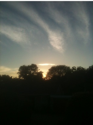 Sunset sky with a bright iridesent cloud