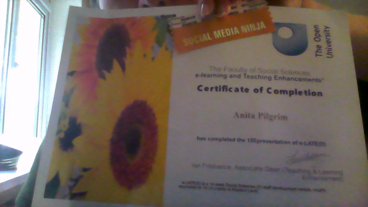 Certificate of course completion with ribbon saying 'social media ninja'