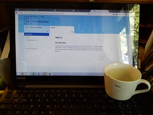 Photo of online assignment page - with mug resting on laptop keyboard