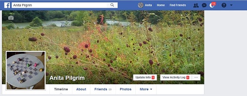 Screenshot of Facebook profile page