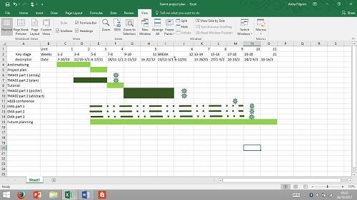 Excel spreadsheet laid out as a Gannt plan