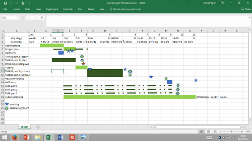 Another Excel spreadsheet laid out as a Gannt plan