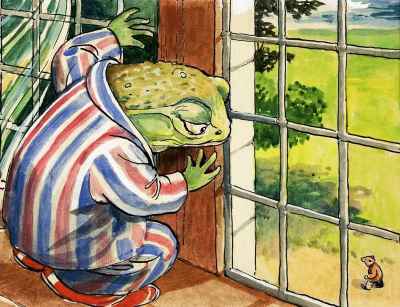 Mr Toad at the window