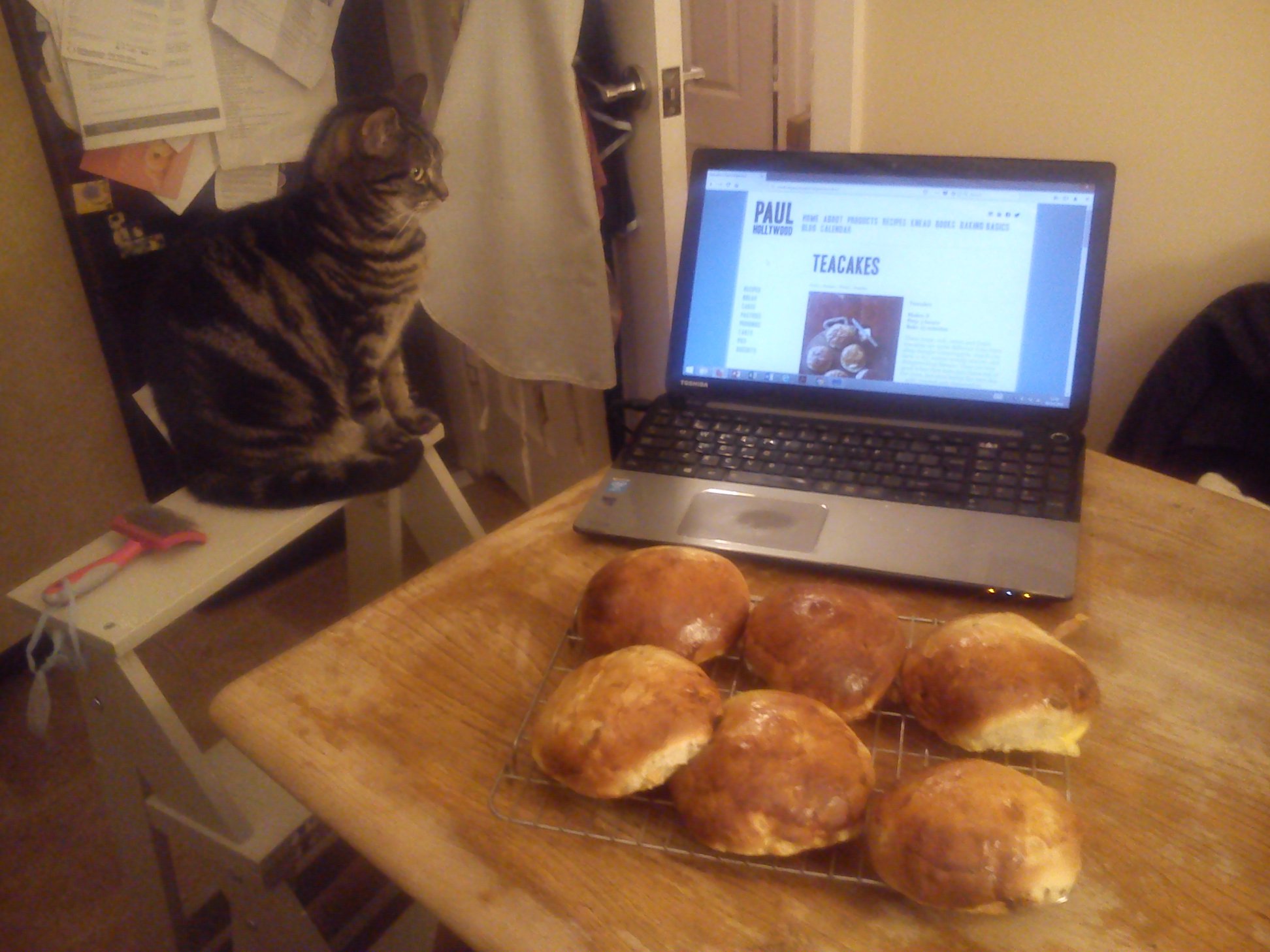 Laptop with tabby cat and a rack of teacakes