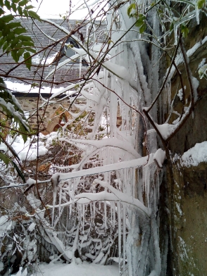 Some icicles