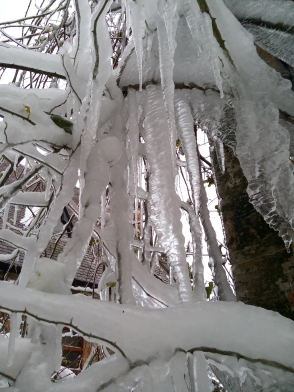 Some icicles