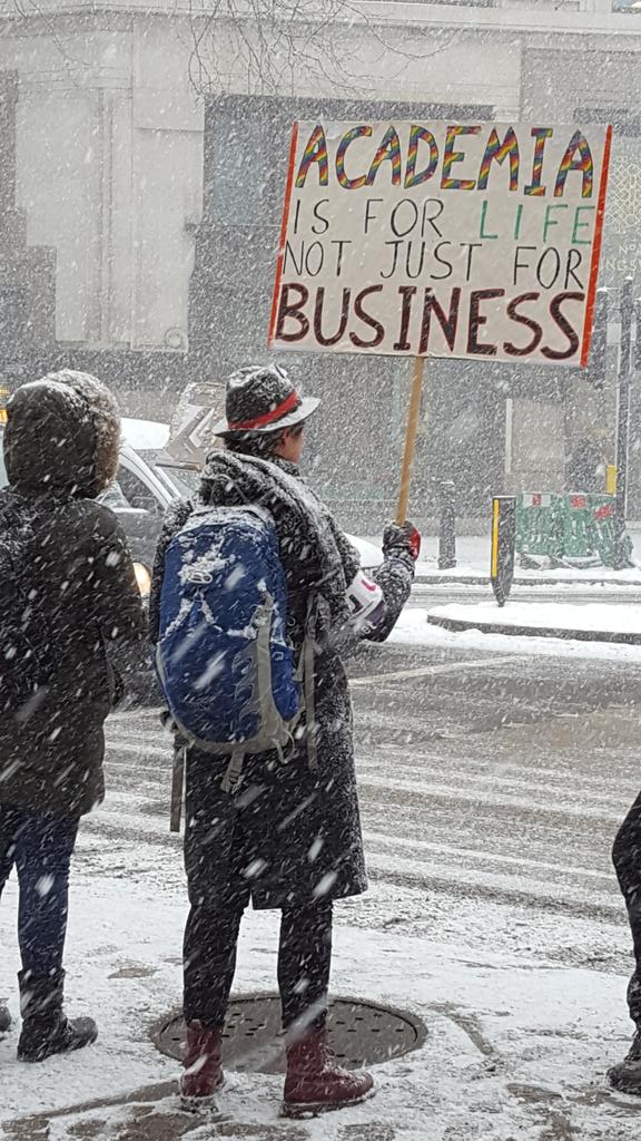 Striking worker in snowstorm with sign saying 'Academia is for life not just for business'.