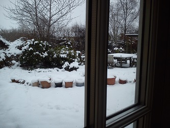 Row of plant pots covered in snow