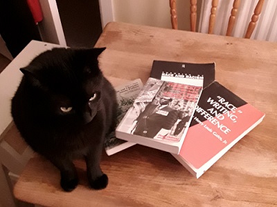 Black cat sitting beside pile of books on race studies