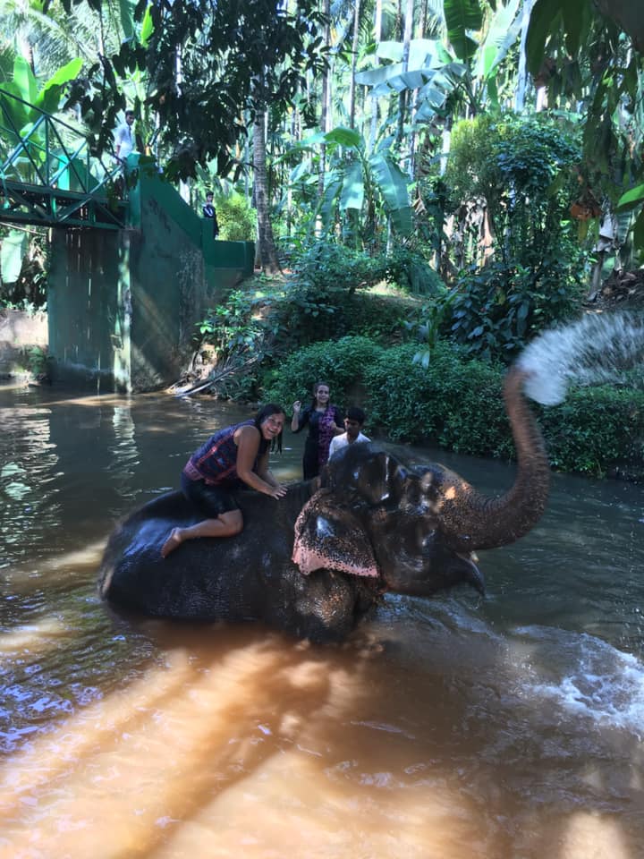 Anna on an elephant