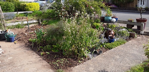 Square garden full of young vegetables and flowering plants, gardening tools to the left.