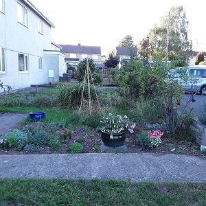 Partly dug out flower garden.