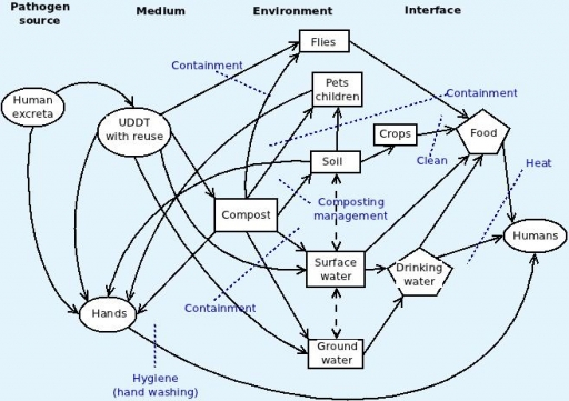 Faecal-oral pathways of disease with barriers