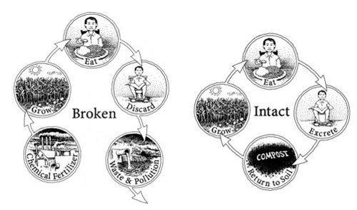 Nutrient cycle