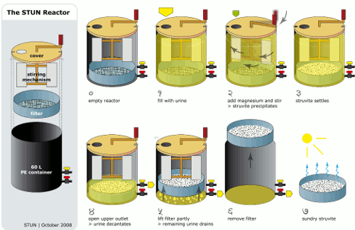 The STUN reactor showing the 7 steps of struvite production.