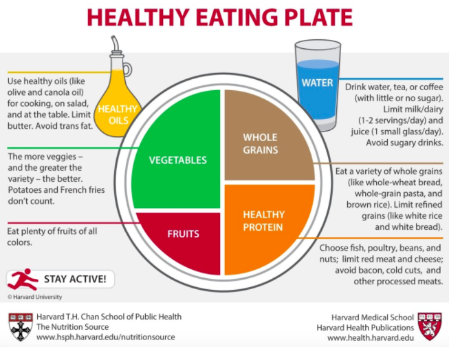 Plate of Food from Harvard T H Chan