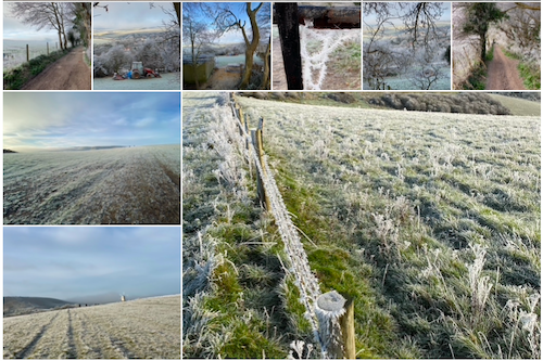 Views around the South Downs during a January 2021 hoar frost
