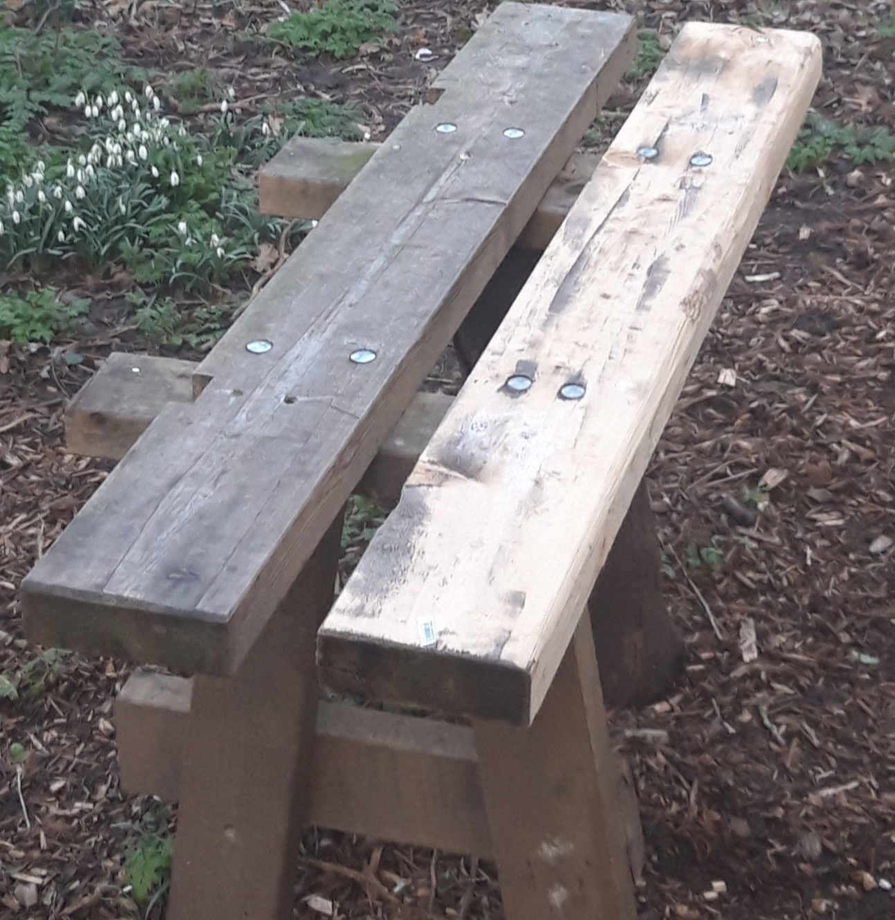 A Bench in the wood