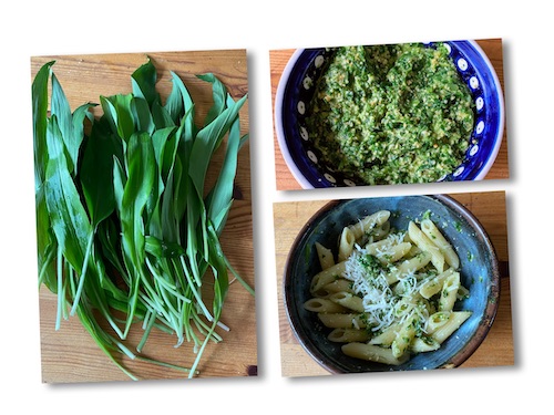 Wild garlic foraged, made into a pesto and added to pasta