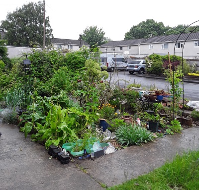 Vegetable garden with edible flowers and decorative iron frames for climbing plants.