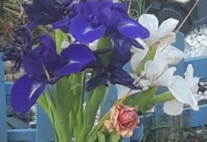 Iris and Roses