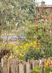 Bird station with feeders and water