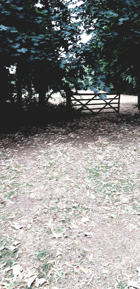 A gate leading to footpath under trees