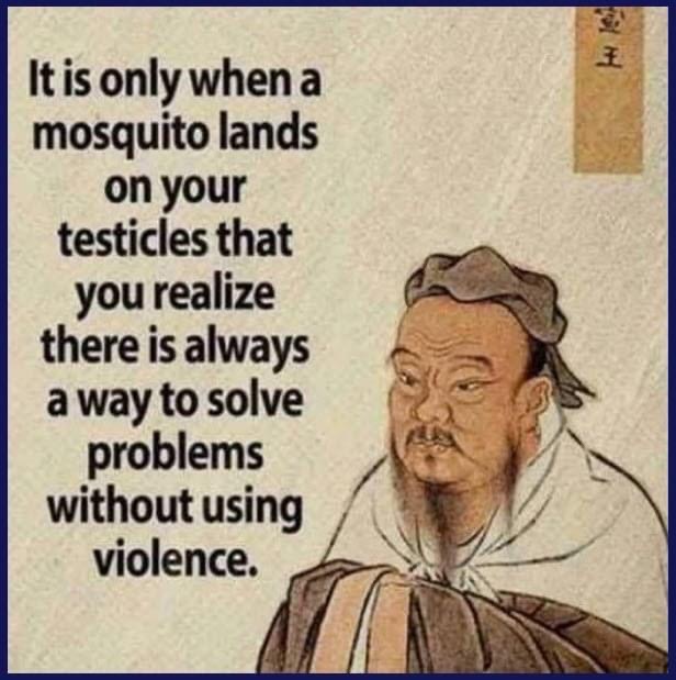 Mosquito joke