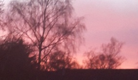 A red sky at night above the roof tops