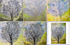 Six different ways to add colour to a print of an ancient beech tree and companion oak