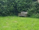 A wooden bench on a green lawn