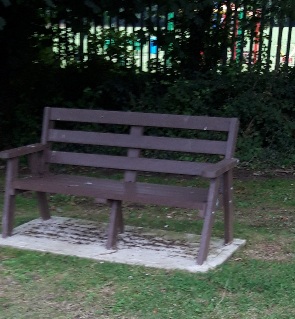 Brown bench beneath trees