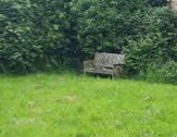 Bench in a green space