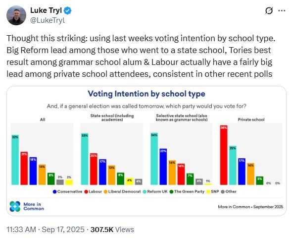Voting intention by school type