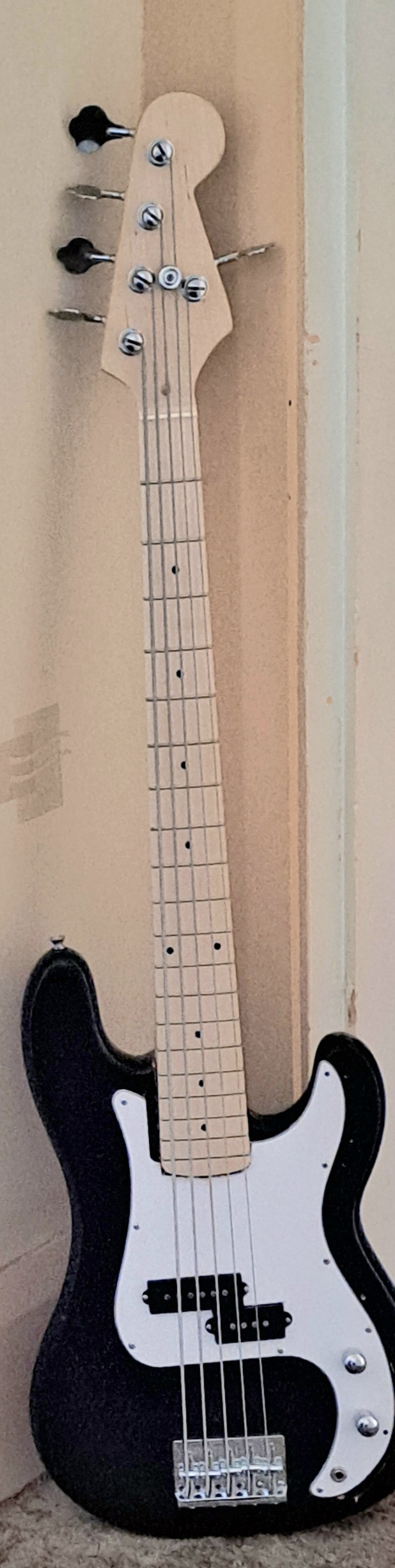 5 String Bass I built myself, not easy to do but it worked.