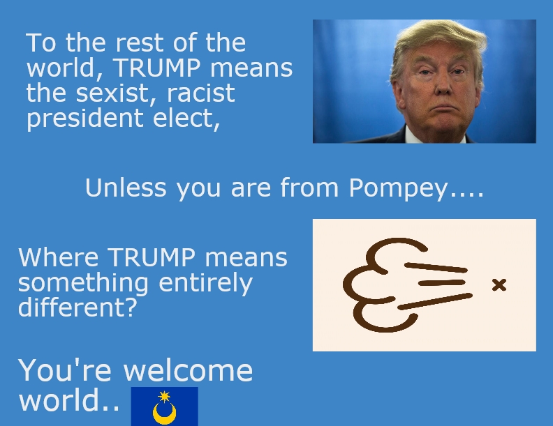 a infographic satire on trumps sirname
