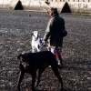 Exe Estuary with Ruby and Jackson