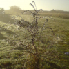 autumn time at gwaun y gors