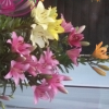 Lillys